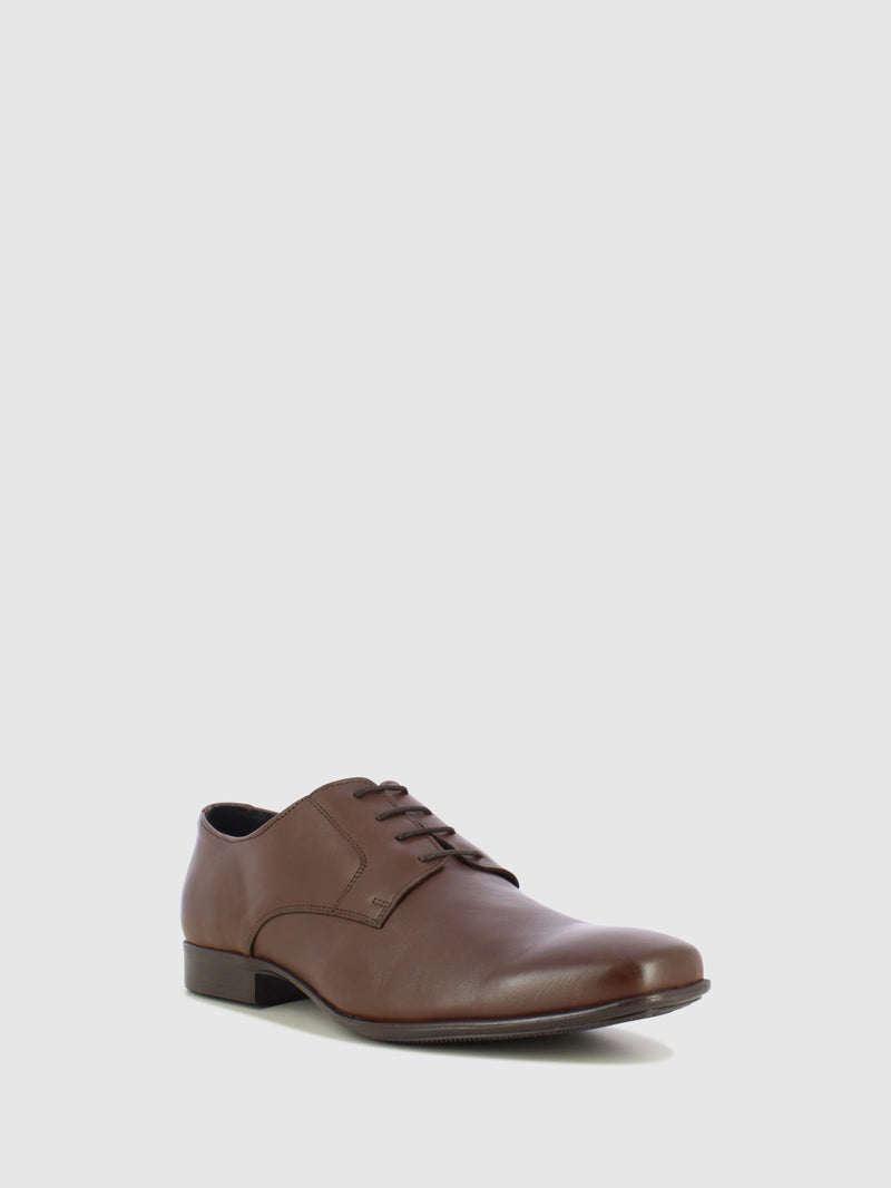 Foreva Brown Lace-up Shoes