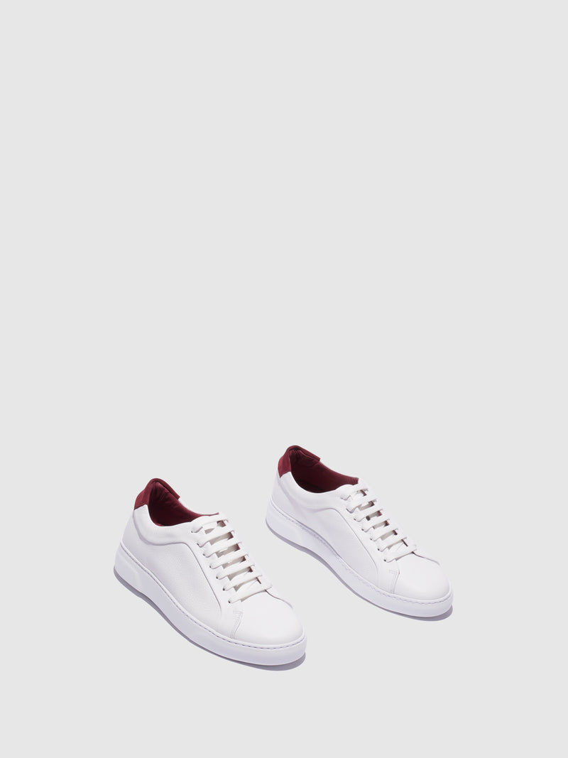 Boldano White Lace-up Shoes